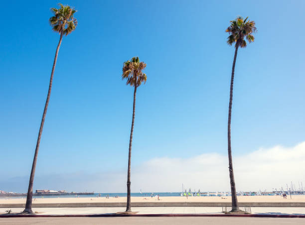 istock White Sand Pacific Coast in California. 897890094