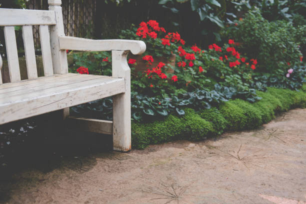istock wood bench between flowerbed in park 897896238