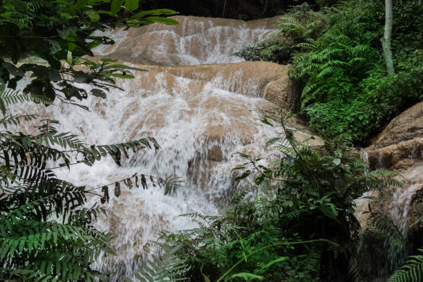 istock waterfall in rainforest. cascade in forest. water flowing in tropical jungle 897899816