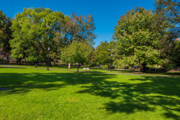 istock Boston USA Public Garden, 897901202