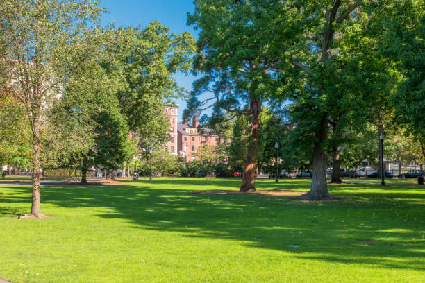istock Boston USA Public Garden, 897901236
