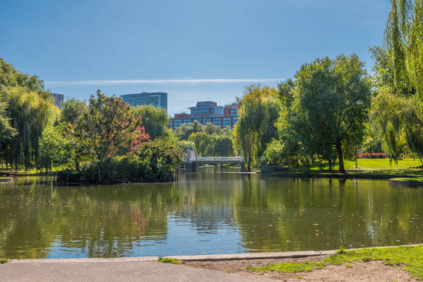 istock Boston USA Public Garden, 897901240