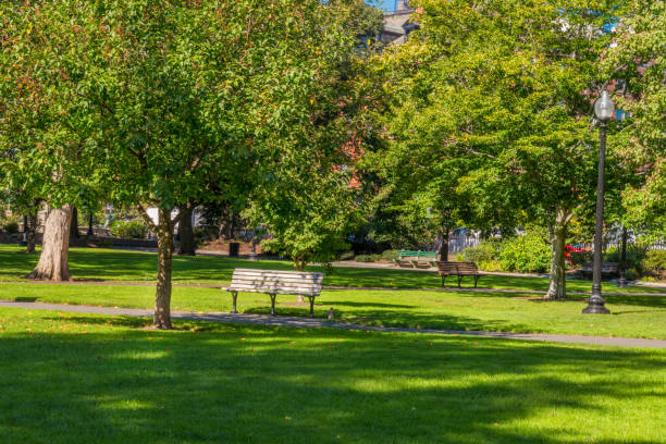 istock Boston USA Public Garden, 897901258