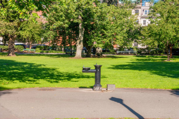 istock Boston USA Public Garden, 897901260