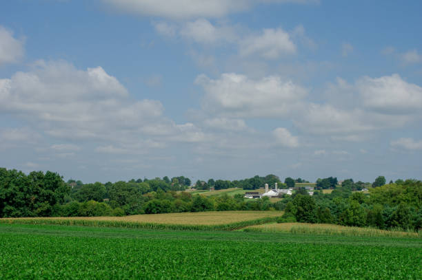 istock Farm in the Countryside 897915784