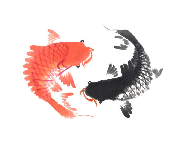 wzór z ręcznie rysowane ryby koi - korean culture obrazy stock illustrations