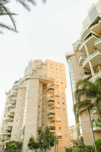 istock Summer cityscape, building and exotic palm trees 897937114