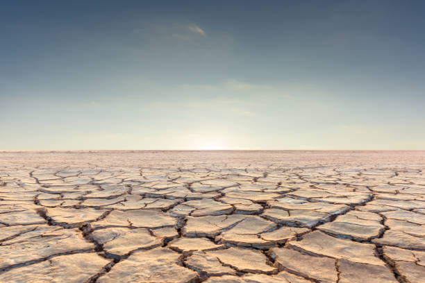 Soil drought cracked landscape on sunset sky Soil drought cracked landscape on sunset sky dry cracked soil stock pictures, royalty-free photos & images