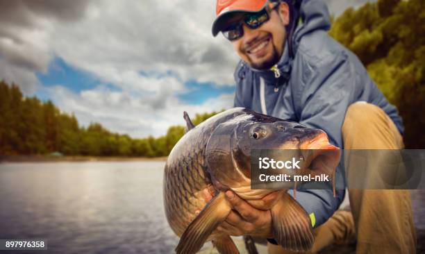 Fishing Backgrounds Young Man Hold Big Carp In His Hands Stock Photo - Download Image Now