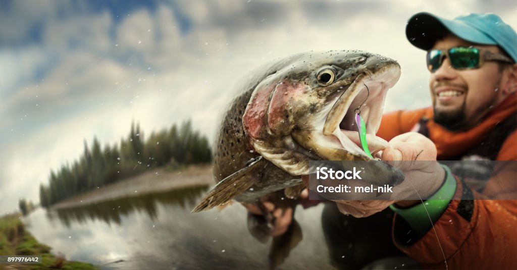 Pesca. Pescador y la trucha. Espectacular. - Foto de stock de Pescar libre de derechos