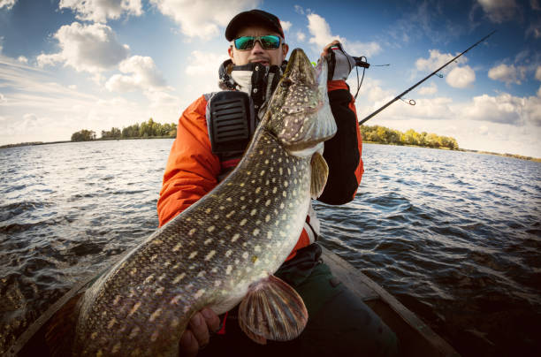 istock Fishing. Fisherman and trophy Pike. 897976464
