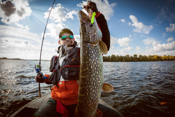 istock Fishing. Fisherman and trophy Pike. 897976492