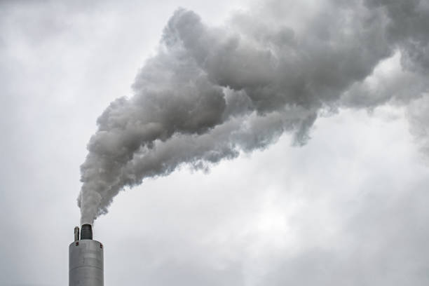 istock Smoking chimney of power plant 897976858