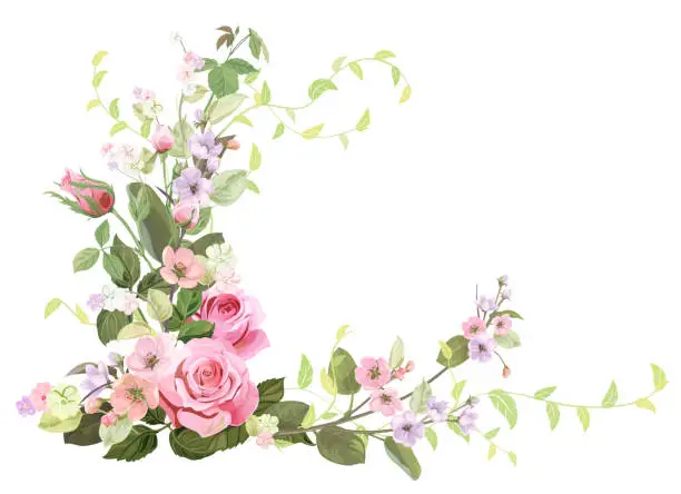 Vector illustration of Angled frame with roses, spring blossom (bloom), branches with mauve, pink apple tree flowers, buds, green leaves on white background. Digital draw, illustration in watercolor style, vintage, vector