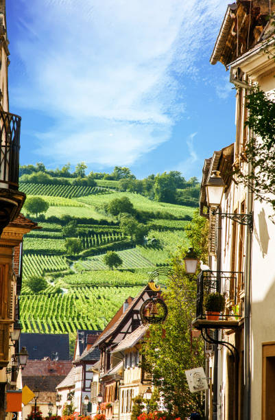 rouffach.vue sur les vignobles depuis le village, alsace. haut-rhin. grand est - mühlhausen stock-fotos und bilder