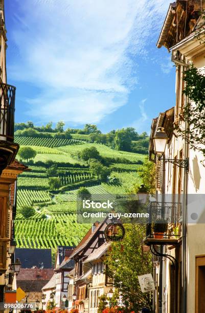 Rouffachview Of The Vineyards From The Village Alsace Hautrhin Grand Est Stock Photo - Download Image Now