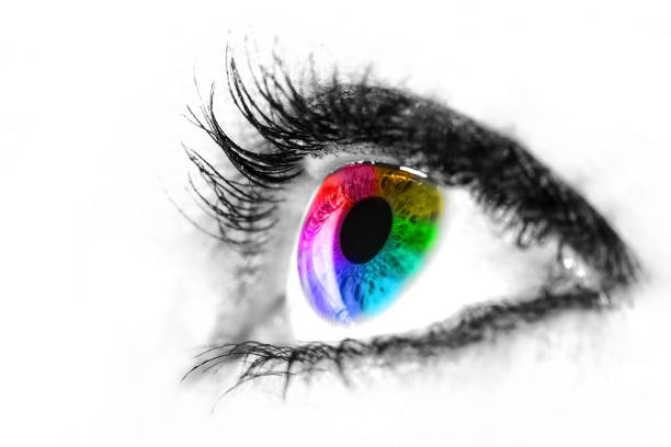 Eye macro in high key black and white with colourful rainbow in the iris stock photo
