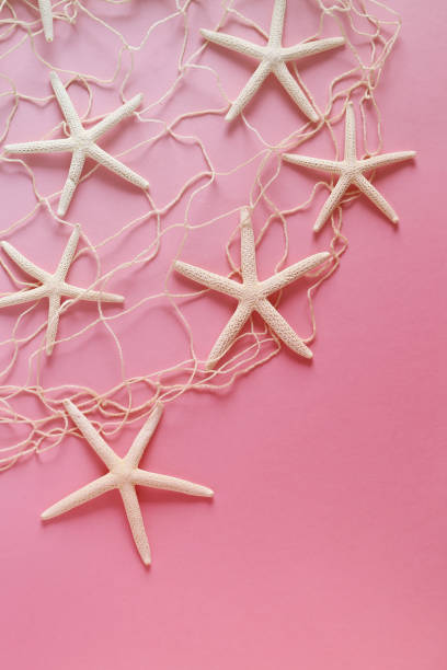 istock fishing net and white starfish on a pink background. Summertime concept 898014390