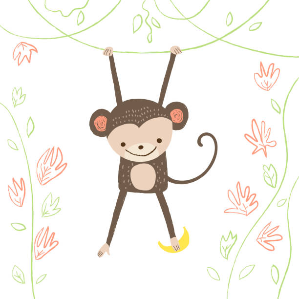 Monkey illustration Cute monkey with banana on white isolated background. Vector illustration in cartoon style for print design of children s banners, postcards, posters, booklets. clip art of a monkey holding banana stock illustrations