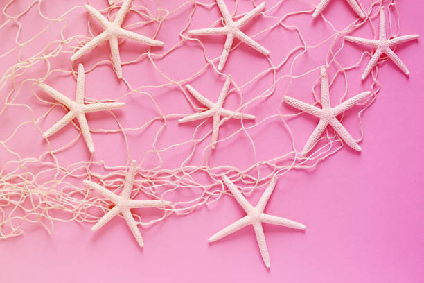 istock White fishing net and white starfish on a pink gradient background. Summertime concept 898035528