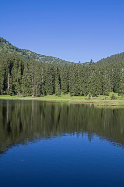 istock lake Wildsee in the Ester mountains 898039092