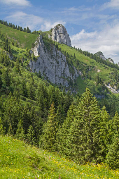 istock In Benediktenwand mountains 898043428