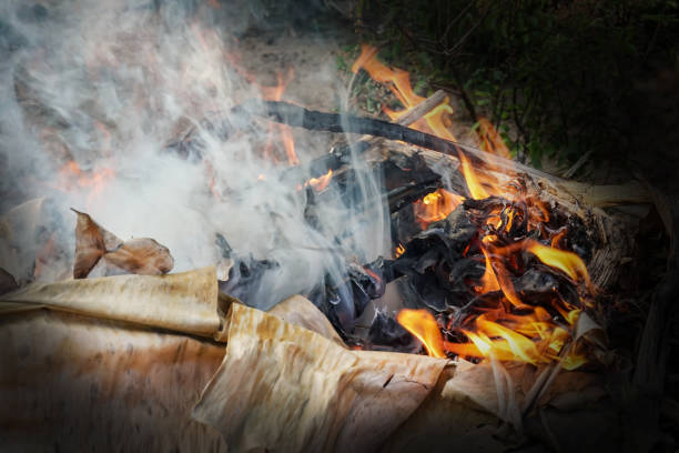 istock Burning fire with high flame and white smoke. White smoke from the fire where wet branches of tree and dry leaves. 898044048