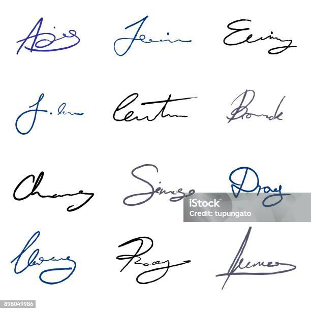 Signature Examples Vector Signature Vector Set Stock Illustration - Download Image Now ...