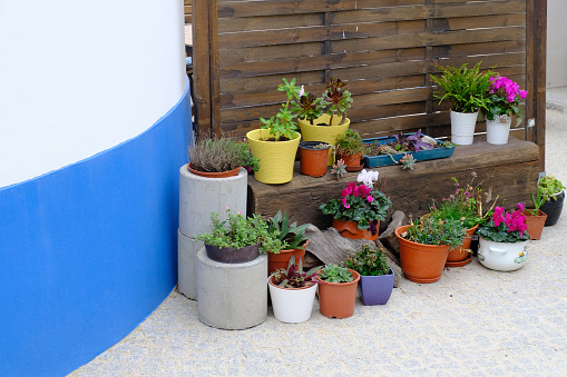 numerous plant pots
