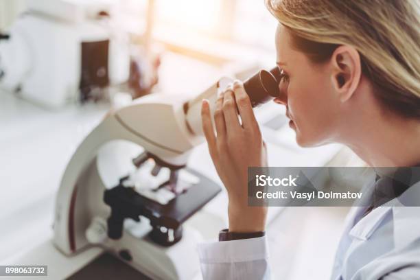 Laboratory Scientist Working Stock Photo - Download Image Now - Science, Lifestyles, Scientist