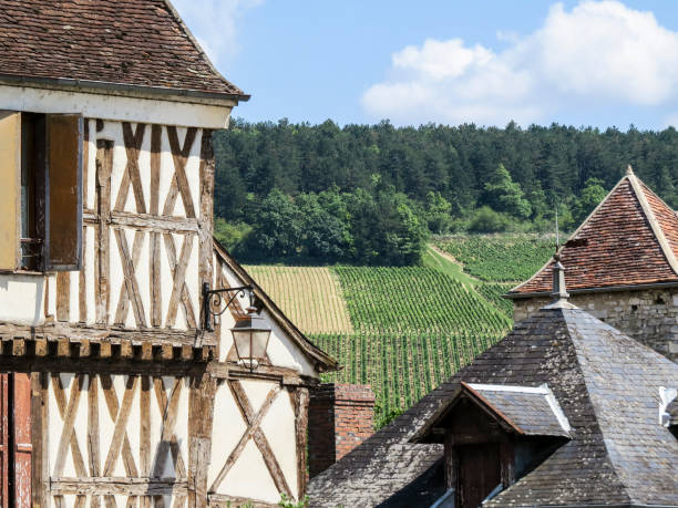 Chablis, Burgundy, France stock photo