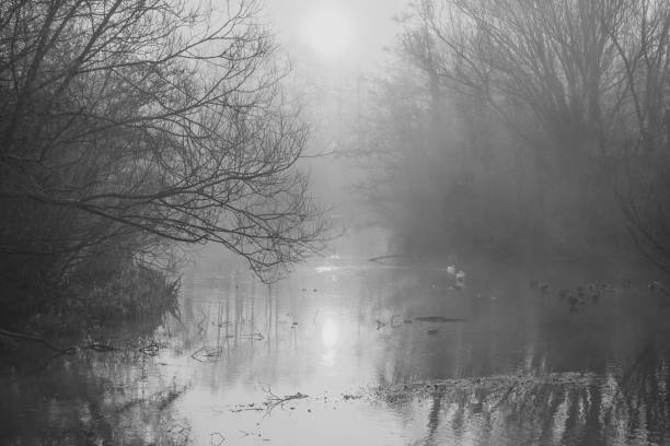 istock Fog swirls over a lake and between bare trees 898107938