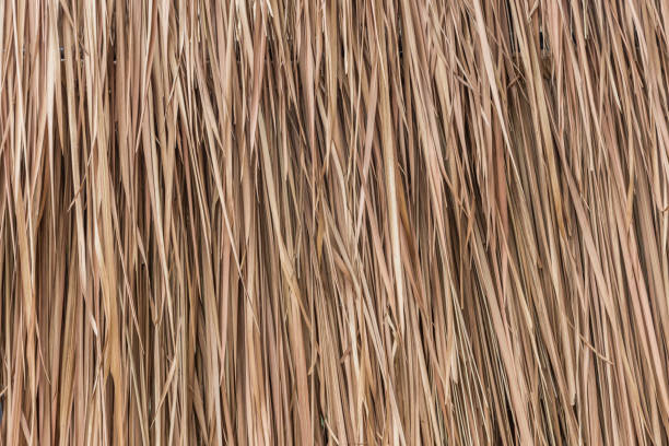 istock thatch background,closeup of thatch roof background and texture. 898116972
