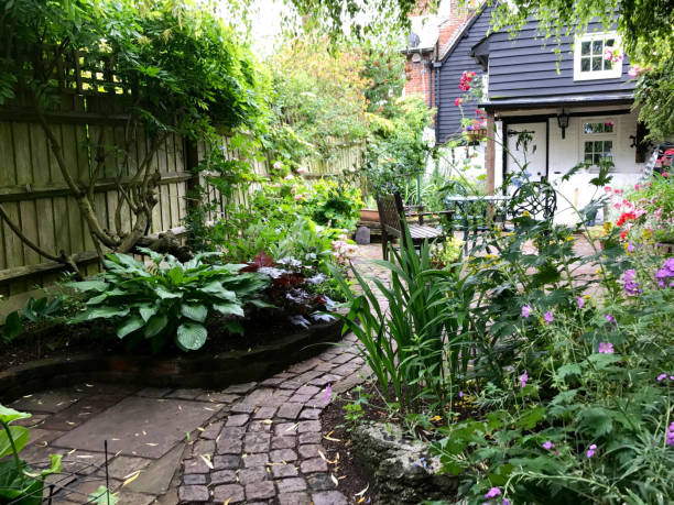 istock An English cottage garden 898121952