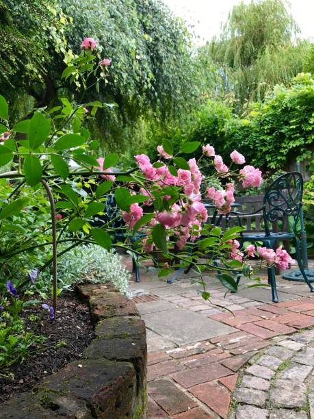 An English cottage garden Amersham, UK - 2017: My cottage garden. These colourful pictures  of the garden we created and the house where we live for last 7 years were taken through the flowering season between May and August 2017. They show a variety of plants and flowers as well as traditional features like wooden fence, cobbled path, stone wall, metal railing, garden furniture, etc. amersham stock pictures, royalty-free photos & images