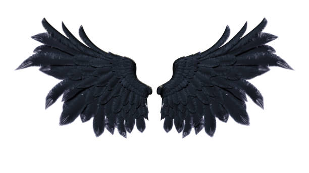 Demon Wings stock photo