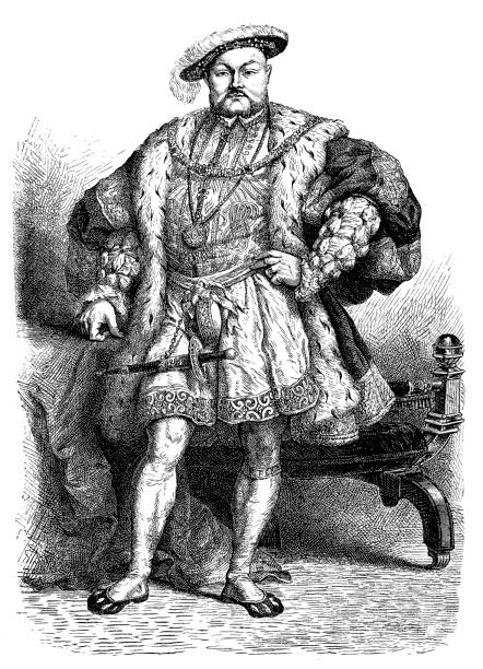 король генрих viii - henry viii tudor style king nobility stock illustrations