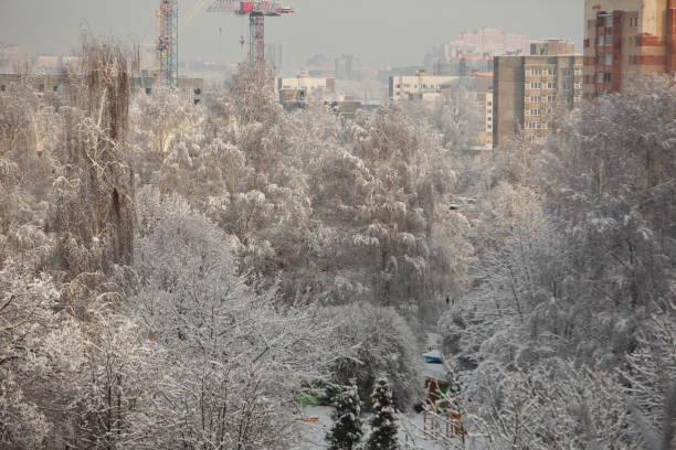 istock trees under the snow in the city 898149964