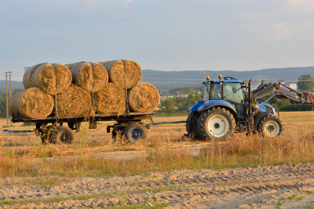 istock straw in bales in the field 898150114