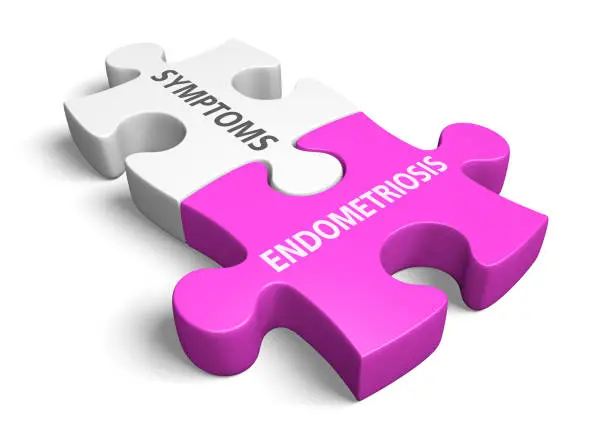 3D render of two connected puzzle pieces lying on a white background with the words "endometriosis" and "symptoms".