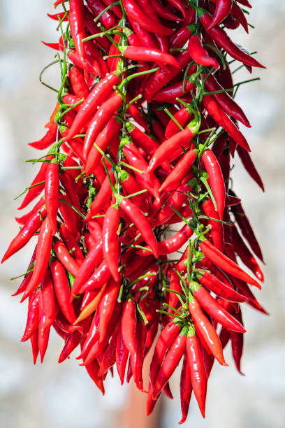 istock Fresh spicy red pepper on Amalfi coast 898159822