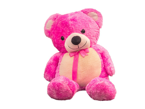 pink Teddy Bear,isolated on white background with clipping path.
