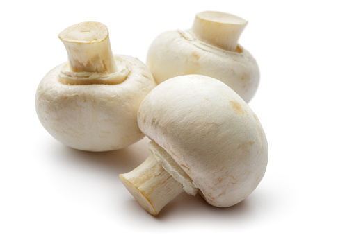 Mushrooms: White Mushrooms Isolated on White Background