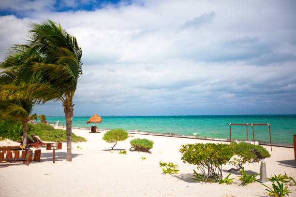 istock Exotic tropical empty sandy beach with umbrellas and beach beds surrounded by palm trees 898186844