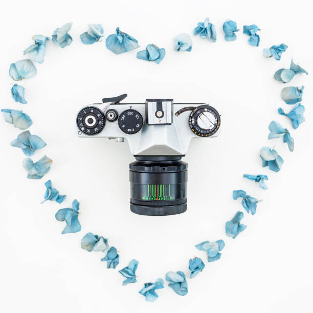 istock Retro Camera and blue petals isolated on white background Flat lay, Top view 898188926