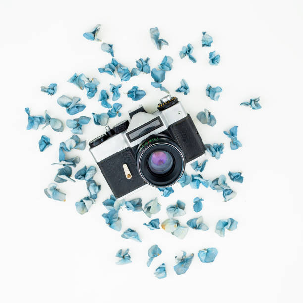 istock Retro Camera and blue petals isolated on white background Flat lay, Top view 898188936