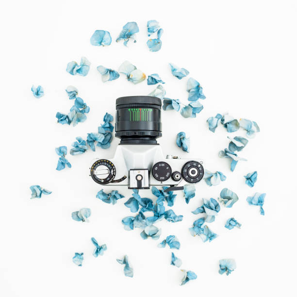 istock Retro Camera and blue petals isolated on white background Flat lay, Top view 898188940