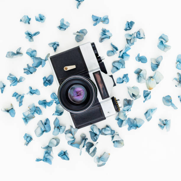 istock Retro Camera and blue petals isolated on white background Flat lay, Top view 898188944
