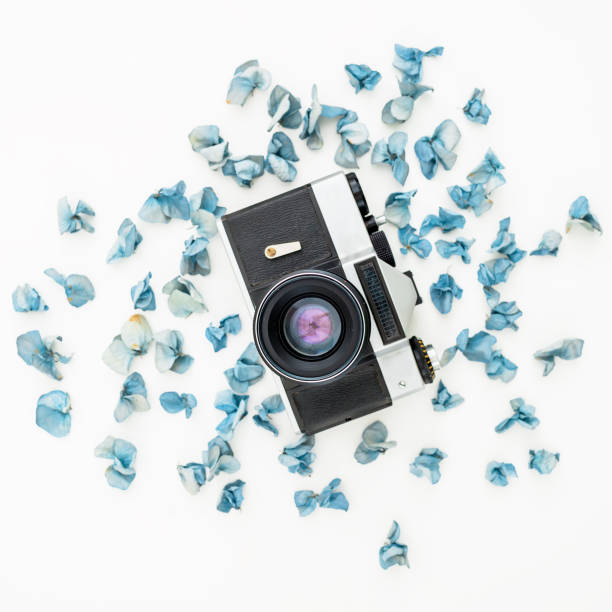 istock Retro Camera and blue petals isolated on white background Flat lay, Top view 898188954