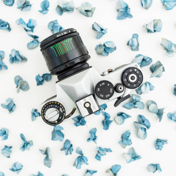 istock Retro Camera and blue petals isolated on white background Flat lay, Top view 898191094